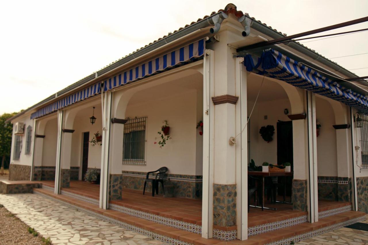 El Olmo Guest House Posadas Exterior photo