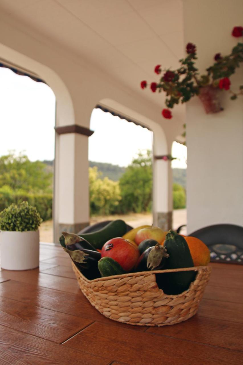 El Olmo Guest House Posadas Exterior photo